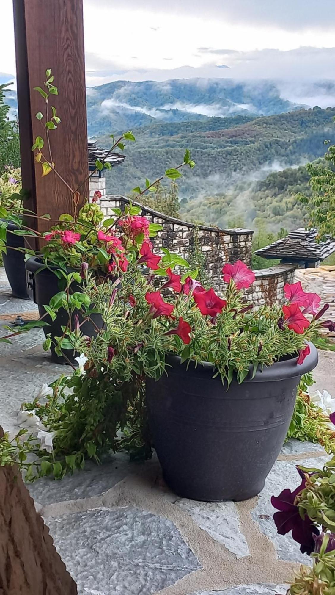 Guesthouse Selini Vitsa Exterior photo