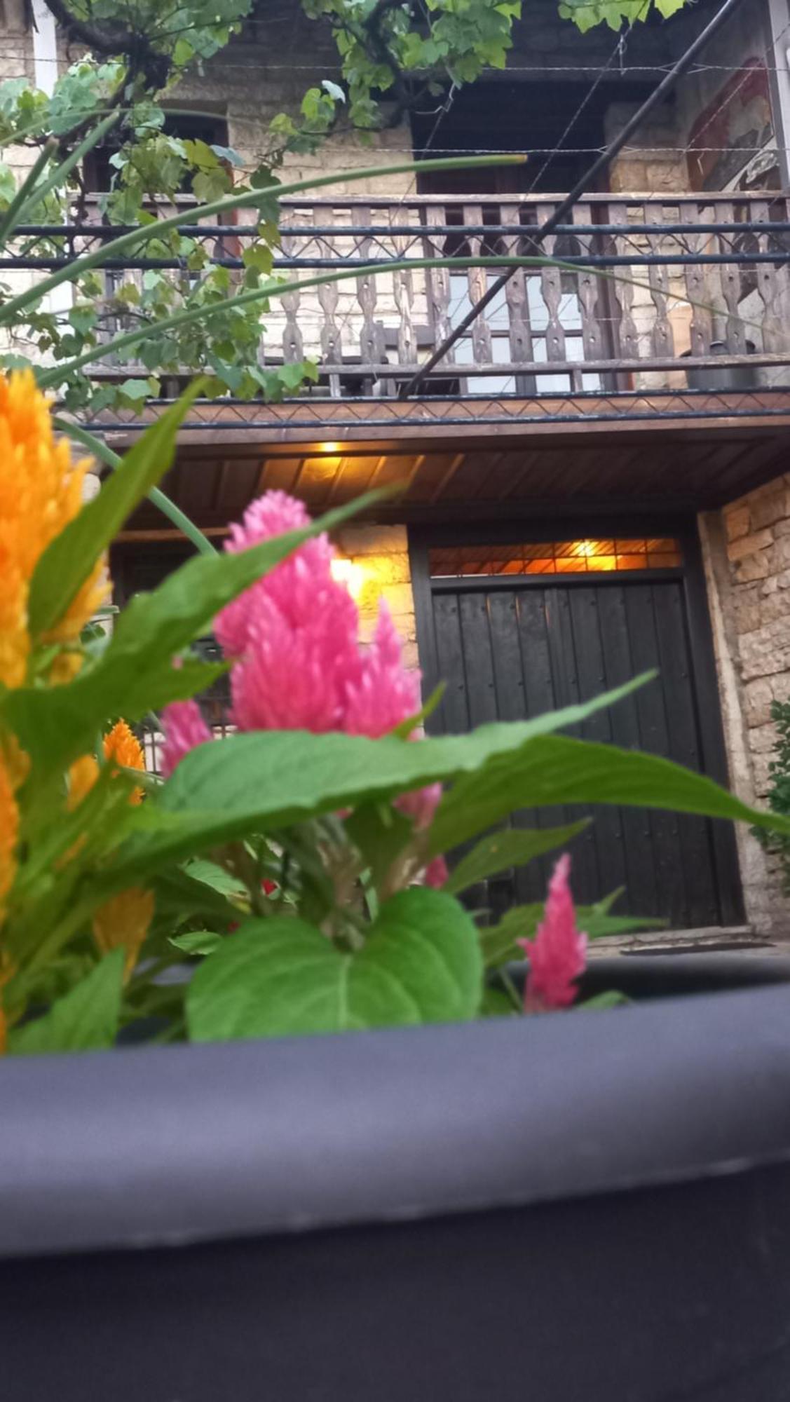 Guesthouse Selini Vitsa Exterior photo